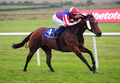 Dalkova is ridden out by Niall McCullagh in the closing stages