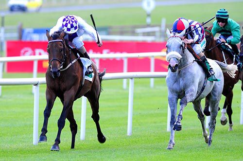 Vastonea (grey, Chris Hayes) couldn't find a way past Chance To Dance and Kevin Manning
