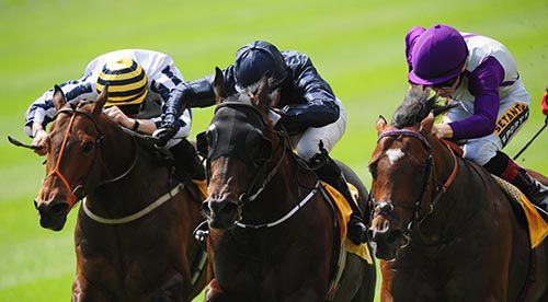 Extortionist (right) found Fountain Of Youth (centre) just a head too good at the Curragh on his last start