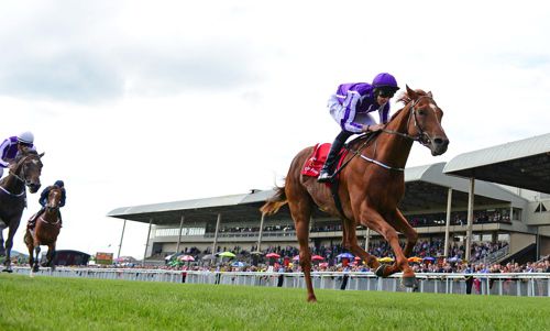 Australia pictured on his way to victory in the Derby last year