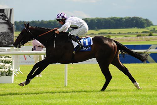 Wexford Town and Rory Cleary
