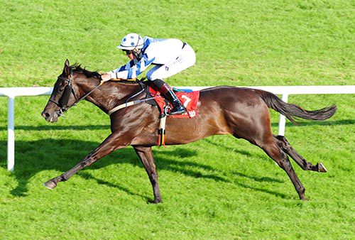Badger Daly approaches the winning post