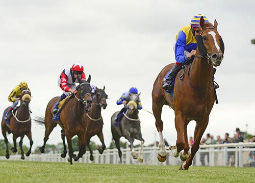 Muscle Beach and Fran Berry
