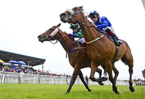 Wateed (Leigh Roche, nearside) just holds on from Duchess Andorra (Ronan Whelan)