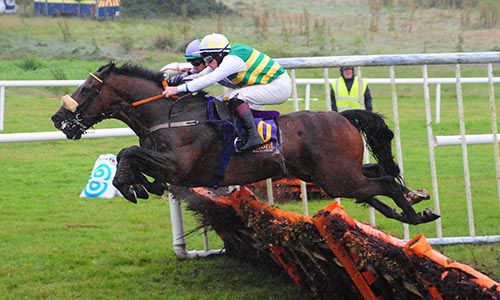 Meldrum Lad (Sean Flanagan) jumps up beside Dun Scaith and Andrew McNamara