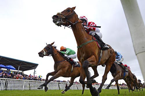 Tahaf (Seamie Heffernan) holds on from California Rose (Conor Hoban)