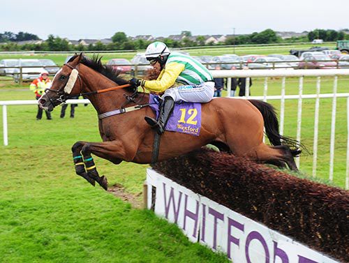 Kilmurry Kid and Ian McCarthy