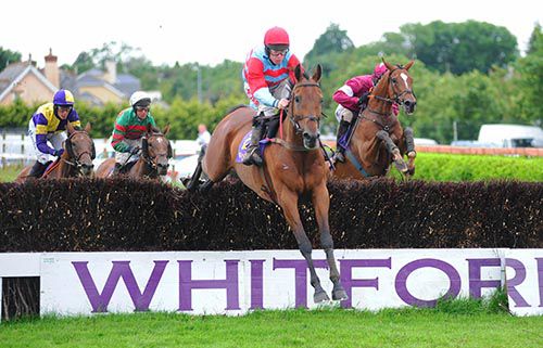 Lord Ben (Andrew Lynch) clears a fence in front of Midnight Game, The Amarillo Kid and Why But Why