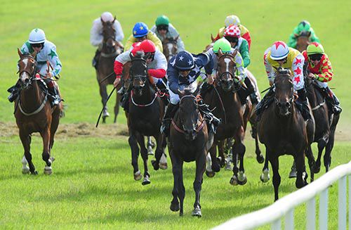 Arriana (navy) is driven out by Niall McCullagh in the closing stages