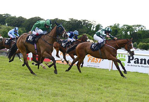 Moonmeister is driven out by Michael Hussey to beat Botanical Lady