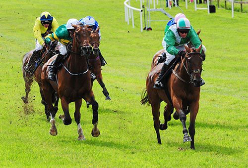 Aranhill Chief in front at Bellewstown