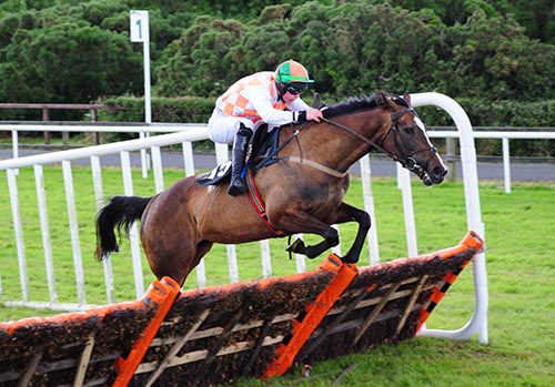 Routes Delight (David Splaine) clears the last