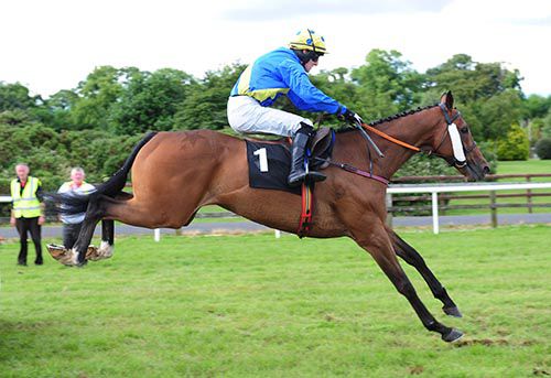 Diamondgeezer Luke has that winning feeling again