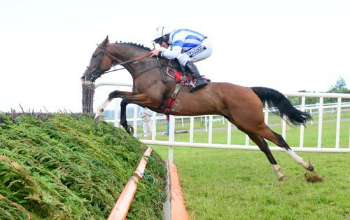 On The Way Out and Phillip Enright in Limerick