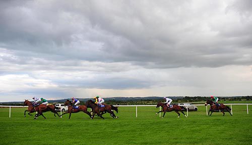 Einsteins Folly (second from back, Kevin Manning) waits his turn before going on to score at Roscommon
