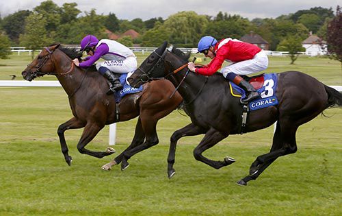 Extortionist (leading) provided Stevens with a Royal Ascot win in 2013