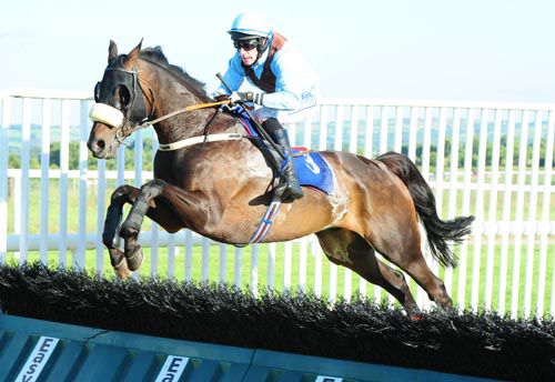 Rodriguez and Brian Cawley clear the last in style