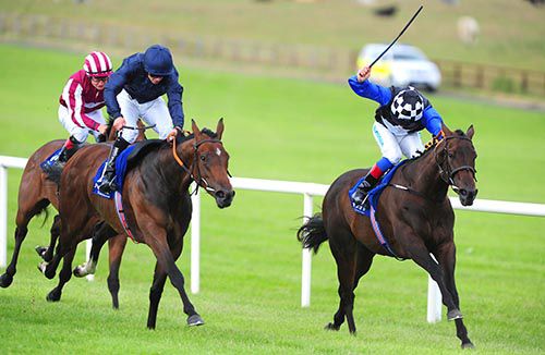 Little Rooster (Chris Hayes) sees it out well from Sexy Legs