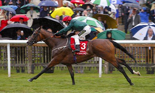 Hartnell and Joe Fanning winning The Bahrain Trophy at a wet Newmarket