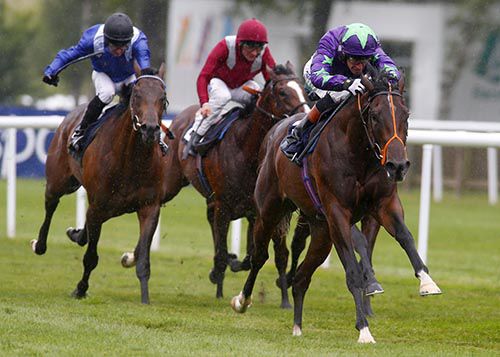 Ivawood winning at Newmarket last season