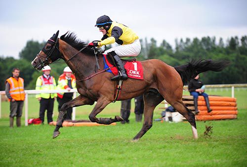 Portrade in rude health at Cork