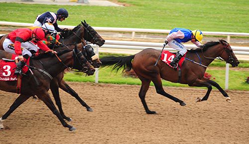 Hazel Blue and Danny Grant in winning form