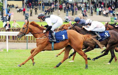 Accepted and Billy Lee