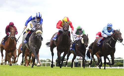 The grey Greek Canyon fends off all rivals under Colin Keane