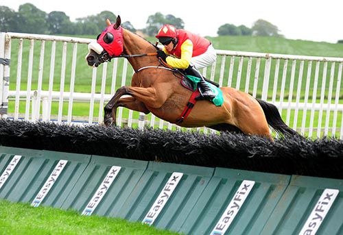 Moss Street jumps the last under Paul Carberry 