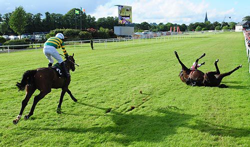 Formidableopponent is left clear after Un Beau Roman crashed out at the last 