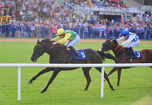 Castle Or Argh is driven out by Gary Halpin to see off Waterloo Sunrise