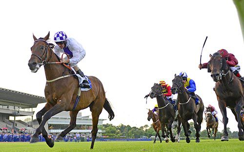 Chance To Dance & Kevin Manning cross the line in front