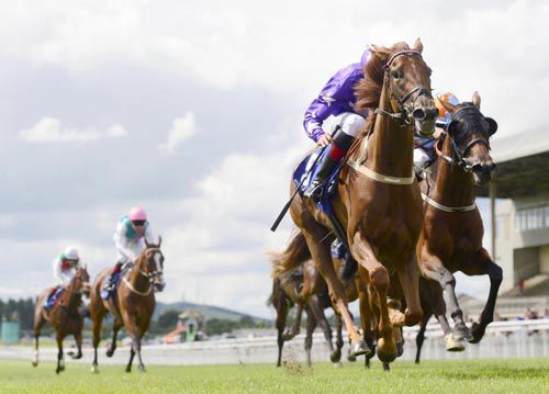 Shanooan approaches the winning post at the Curragh