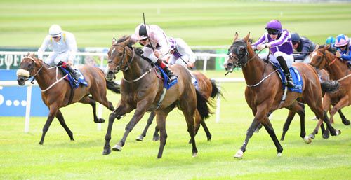 Ansgar, whip raised, dominates at the Curragh