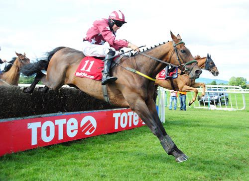 Westhaven clears the last under Adrian Heskin