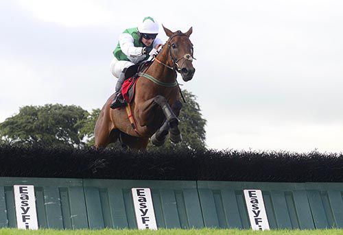 Royal Shot and Denis Hogan