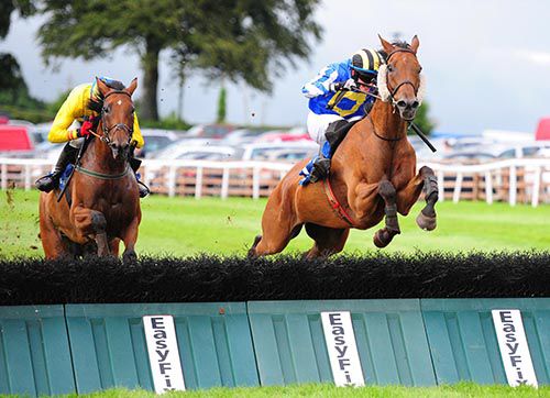 Curragh Golan (Paul Townend) jumps the last ahead of Supreme Vic (Shane Shortall)