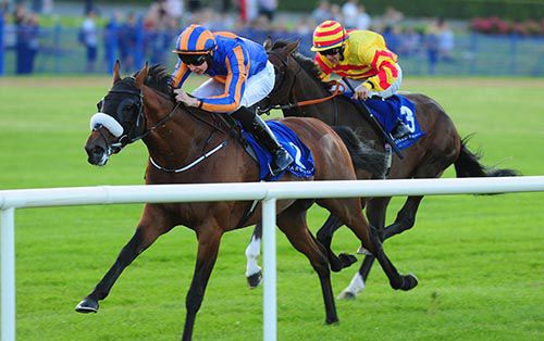 Annus Mirabilis and Joseph O'Brien see off the challenge of Mr Rock