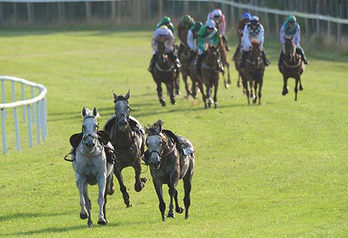 The beginners chase at Wexford!
