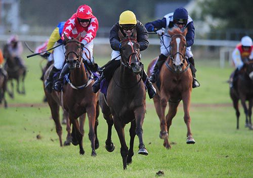Cruisingdownriver (yellow cap) is about to pass the post in front