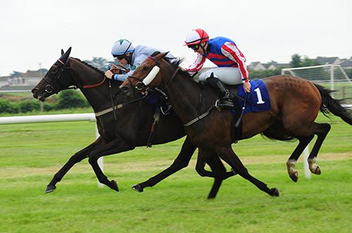 Bogardus (left) under Gary Halpin beating Calorie