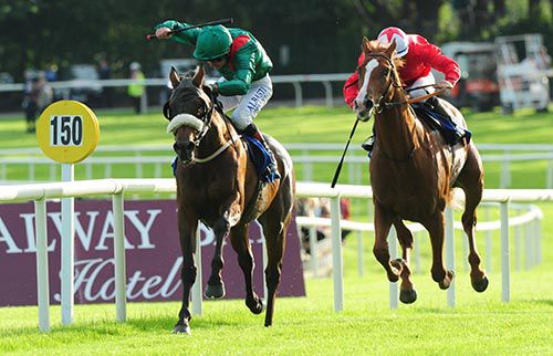 Timiyan moves ahead of Resiliency in Galway