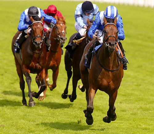 Taghrooda