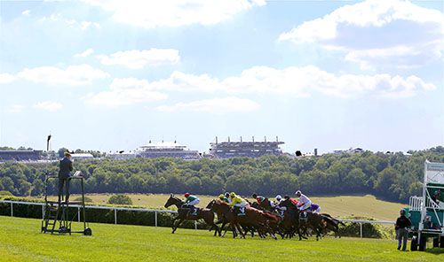                                  Goodwood
