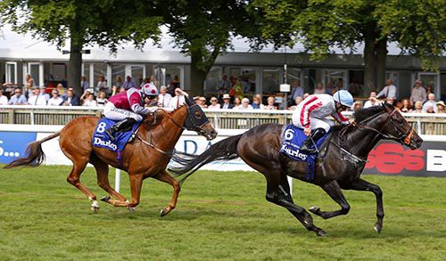 Slade Power 
