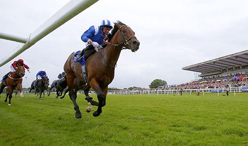 Mukhadram and Paul Hanagan winning the Coral-Eclipse last year