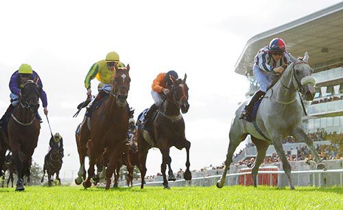 Grey horse Vastonea swoops in Ballybrit