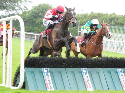 Most Peculiar and Paul Townend lead Draco and Tony McCoy over the last