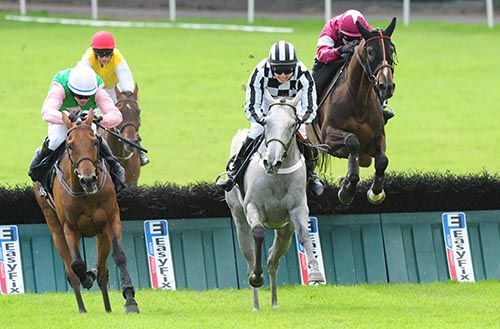 Pink Hat and Icy Reply lead winner Desertmore Stream (Brian O'Connell) over the last