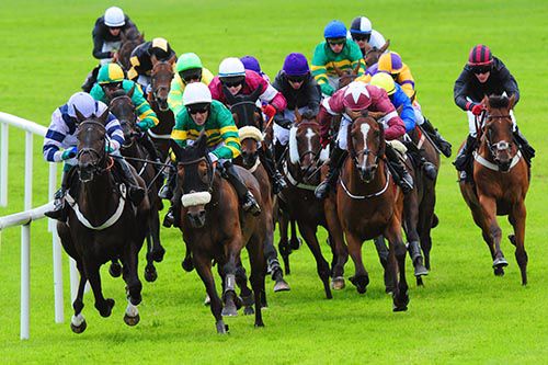 Thomas Edison (noseband and hood, Tony McCoy up) making his race winning move on the turn-in